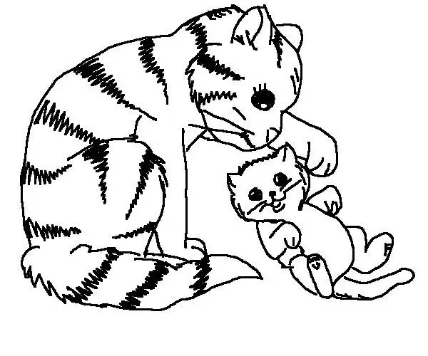 Cat Coloring Page 8