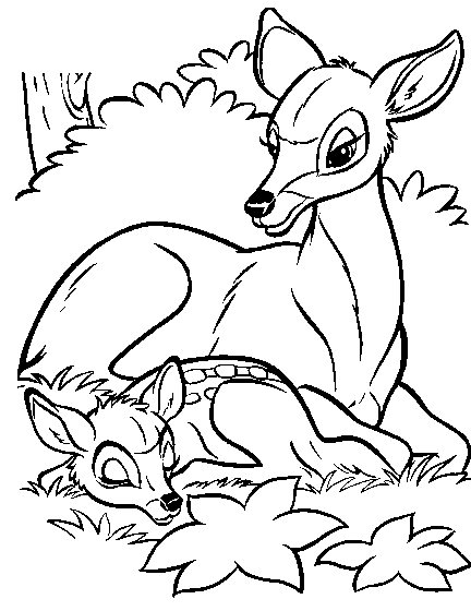 Coloring Pictures 8