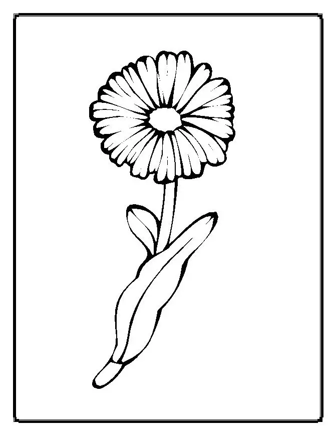 Flower Coloring Page 8