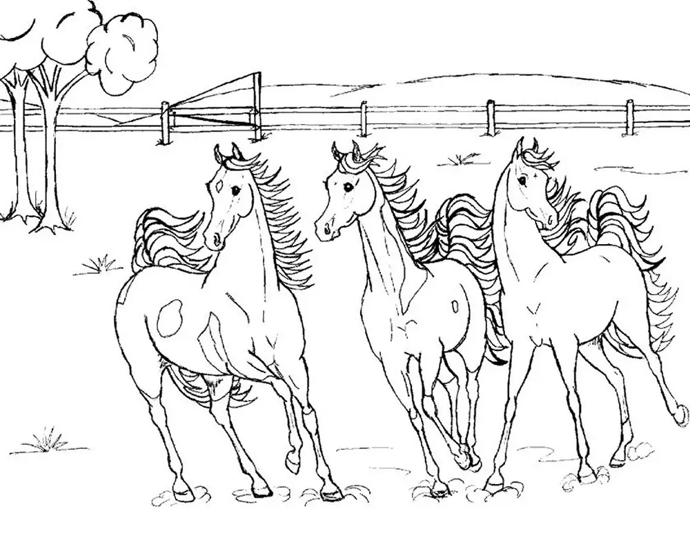 Horse Coloring Page 5